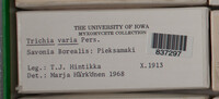 Image Associated With the Occurence